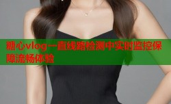 糖心vlog一直线路检测中实时监控保障流畅体验