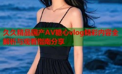 久久精品国产AV糖心vlog精彩内容全解析与观看指南分享