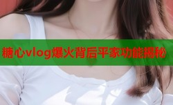 糖心vlog爆火背后平家功能揭秘