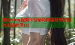 糖心vlog视频平台精彩内容分享与创作交流社区(1)
