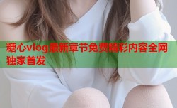 糖心vlog最新章节免费精彩内容全网独家首发