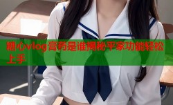 糖心vlog膏药是谁揭秘平家功能轻松上手