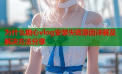 为什么糖心vlog安装失败原因详解及解决方法分享