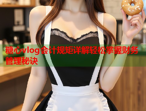 糖心vlog会计规矩详解轻松掌握财务管理秘诀  第1张