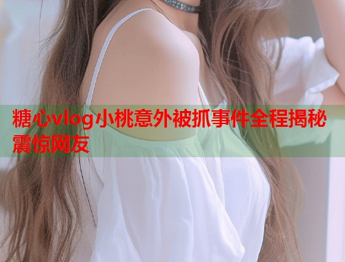 糖心vlog小桃意外被抓事件全程揭秘震惊网友  第2张